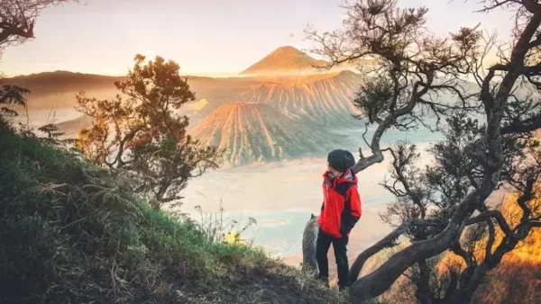 Mount Bromo Sunrise Expedition Tour Package _East Java Tours